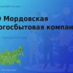 Акции ПАО Мордовская энергосбытовая компания