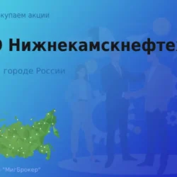 Продать акции ПАО Нижнекамскнефтехим, дорого