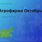 Покупаем акции АО Агрофирма Октябрьская