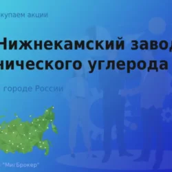 Акции АО Нижнекамский завод технического углерода