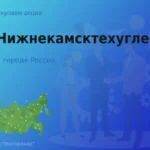 Покупаем акции АО Нижнекамсктехуглерод