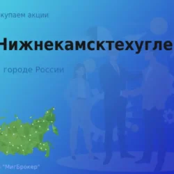 Покупаем акции АО Нижнекамсктехуглерод