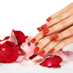 JSN NAILS студия маникюра премиум класса