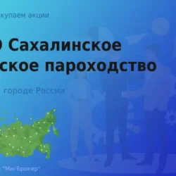 Покупаем акции ПАО САХМП, цена высокая