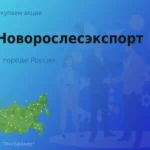 Покупаем акции АО Новорослесэкспорт, дорого