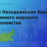 Покупка акций ПАО НБАМР по рыночным ценам