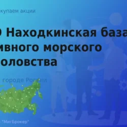 Покупка акций ПАО НБАМР по рыночным ценам