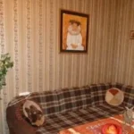 Сдаю 2 комнатную квартиру