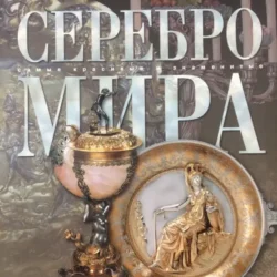 Книга Серебро мира