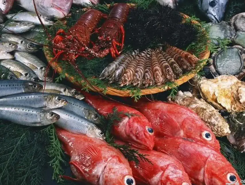 Интернет-магазин по продаже рыбы, ТАтат объявления