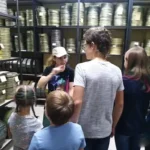 Детский кино квест