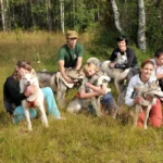 Приключение с хаски в осеннем лесу