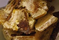 Мёд диких пчёл соты перга - ТАтат объявление