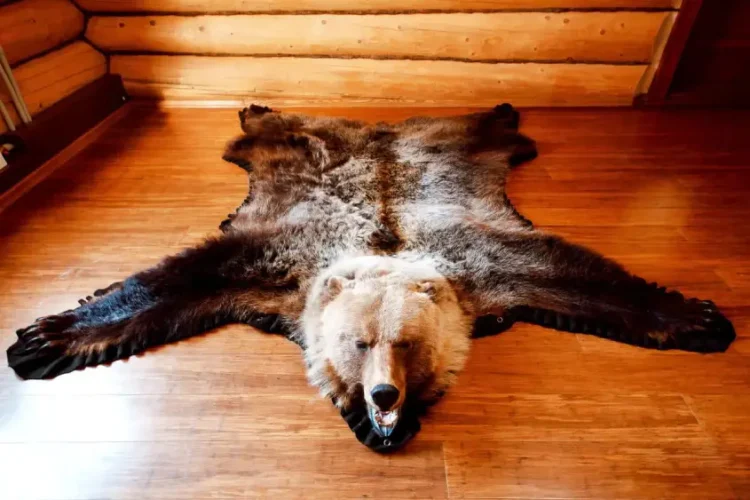 Ковёр из шкуры медведя 170 см - ТАтат объявление