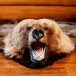 Ковёр из шкуры медведя 170 см