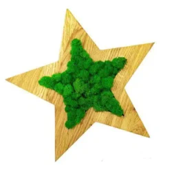 Фито-картина Звезда 20х20 см