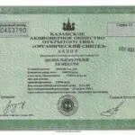 Инвестируем в акции Казаньоргсинтез и Татнефть