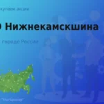 Продать акции ПАО Нижнекамскшина, ценные бумаги
