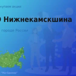 Продать акции ПАО Нижнекамскшина, ценные бумаги