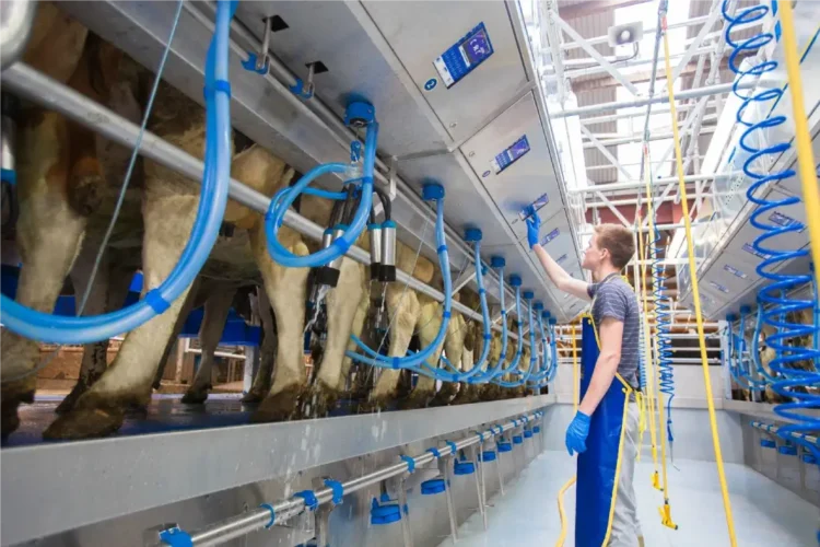 Доильное оборудование для молочных ферм - ТАтат объявление