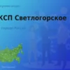 Продать акции АО КСП Светлогорское, ценные бумаги