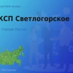 Продать акции АО КСП Светлогорское, ценные бумаги