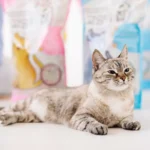 Наполнитель для кошачьего туалета