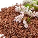 Приобретаем свежую гречку урожая