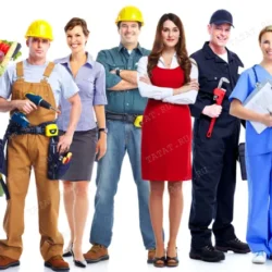 Услуги сервисы и специалисты