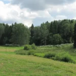 Участок 45 га для бизнеса готовое фермерское хоз-во