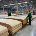 Укладчик-упаковщик на заводе фанеры
