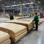 Укладчик и упаковщик на фанерном заводе