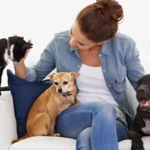 Уход за питомцами для здоровья и счастья