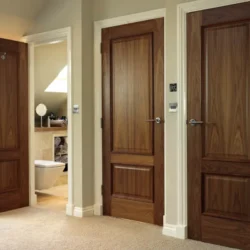 Эстетика и функциональность дверей