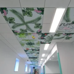 Обзор потолочных материалов для интерьеров