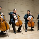 Смычковые инструменты в музыкальной культуре