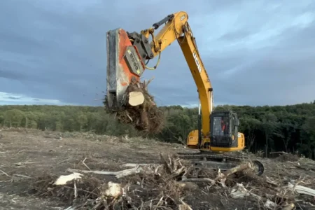 Удаление деревьев и расчистка земельных участков, объявление на Татат