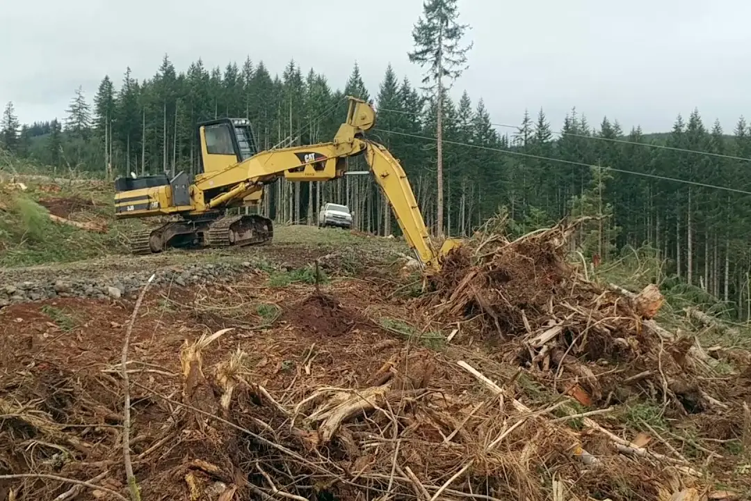 Удаление деревьев и корчевание пней, объявление на Татат