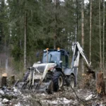 Услуги по расчистке участков от деревьев и пней