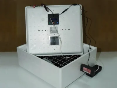 Инкубатор Идеальная наседка 63 яйца с питанием 12В, объявление на Татат