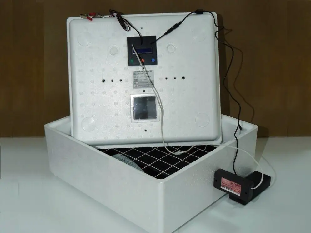 Инкубатор Идеальная наседка 63 яйца с питанием 12В, объявление на Татат