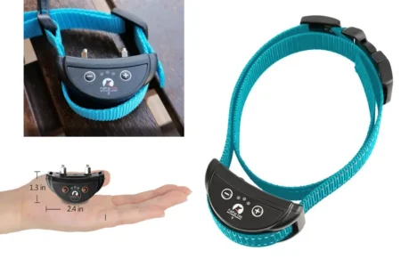 Антилай ошейник для маленьких собак с батарейкой, объявление на Татат