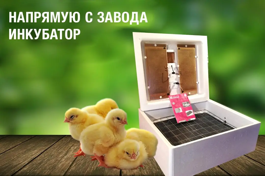 Инкубатор автомат для вывода цыплят Идеальная наседка