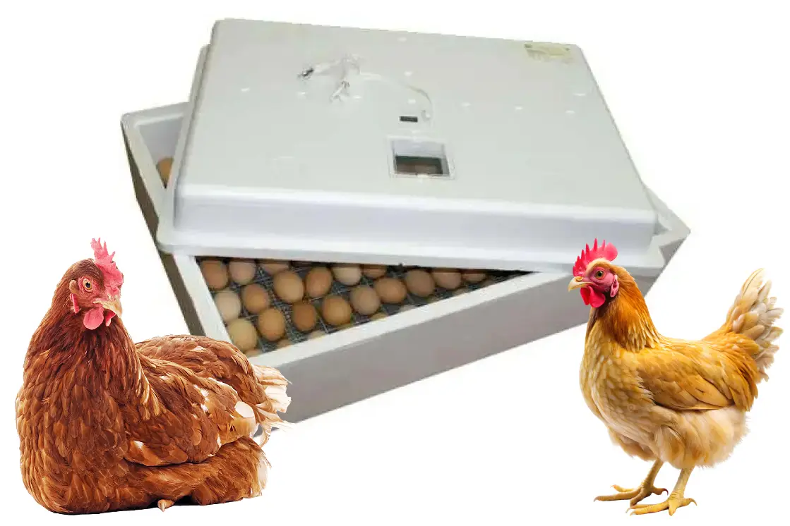 Инкубаторы Идеальная наседка 63 и 104 яйца в наличии