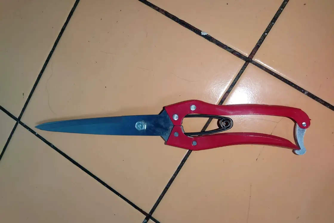 Профессиональные ножницы для стрижки овец и коз, объявление на Татат