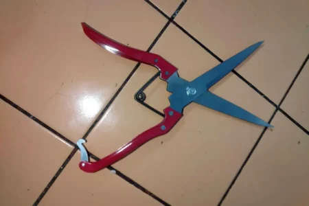 Инструмент для стрижки овец коз собак и лошадей, объявление на Татат