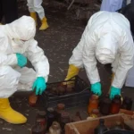 Профессиональная нейтрализация опасных химических отходов